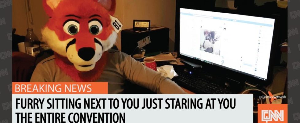 Furry Staring-01